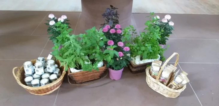 Kräutersegnung 2024 Kräutersegnung